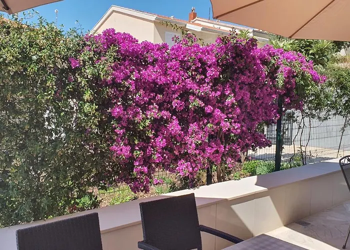 Appartement Agapanthus