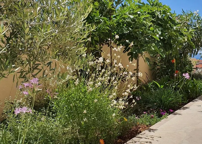 Agapanthus Appartement Makarska