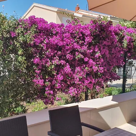 Apartamento Agapanthus