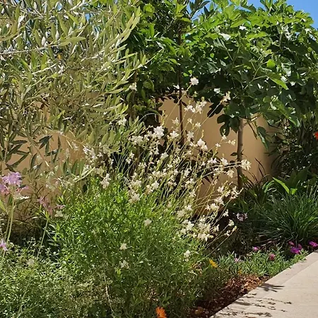 Agapanthus Apartamento Makarska